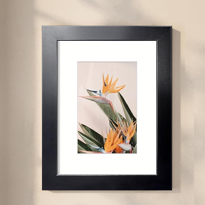 LaVie Home 8.5x11 Picture Frame, 11L x 8.5W Frame Display Pictures 6x8 with Mat or 8.5x11 Without Mat, Stable and Sturdy Black Frame and Polished Plexiglass, Horizontal and Vertical Format of The Walls