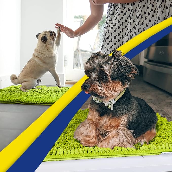 Muddy Mat® | Super Water Absorbent Door Mat Indoor, Microfiber Quick Dry Chenille Entryway Rug,Slip Resistant Front Door Mat,Indoor Mats for Entryway,Machine Washable Pet Rug, Spring Green 28" x 48"