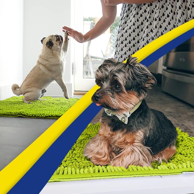Muddy Mat® | Super Water Absorbent Door Mat Indoor, Microfiber Quick Dry Chenille Entryway Rug,Slip Resistant Front Door Mat,Indoor Mats for Entryway,Machine Washable Pet Rug, Spring Green 26" x 42"