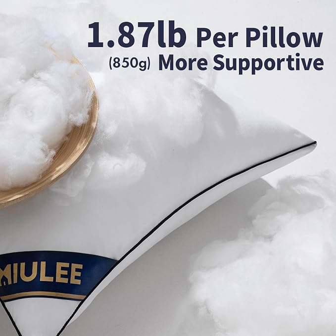 MIULEE 20x20 Pillow Insert Throw Pillow Premium Down Alternative Pillow Insert Square Decorative Pillow Stuffer for Sofa, Couch (20x20 inch)