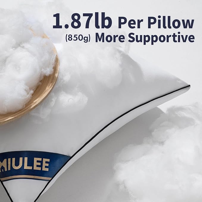MIULEE 24x24 Pillow Insert Throw Pillow Premium Down Alternative Pillow Insert Square Decorative Pillow Stuffer for Sofa, Couch (24x24 inch)