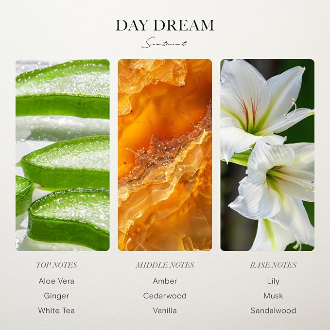 Scentiment Day Dream Diffuser Oil - Premium Hotel Scent with Notes of Aloe Vera, Cedar & White Tea Home Scent, Hotel Fragrance Oil Diffuser Refill - 0.68 fl oz (20 mL)