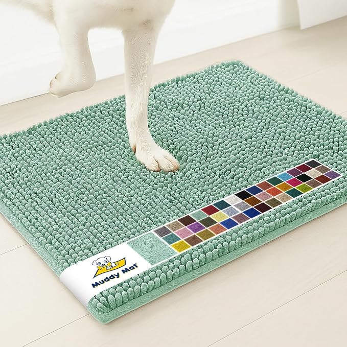 Muddy Mat® | Super Water Absorbent Door Mat Indoor, Microfiber Quick Dry Chenille Entryway Rug, Slip Resistant Front Door Mat, Indoor Mats for Entryway, Machine Washable Pet Rug, Sea Green 6ft x 9ft