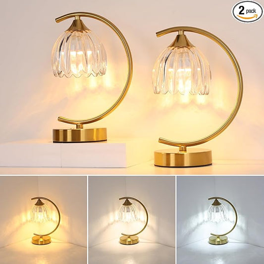 Shenmoyl Set of 2 Tulip Table Lamp, 5200mAh Cordless Touch Control Table Lamp with 3 Color Temps & Stepless Dimming, Rechargeable Battery Table Lamp for Living Room, Bedroom, Shelf (Transparent Tulip)