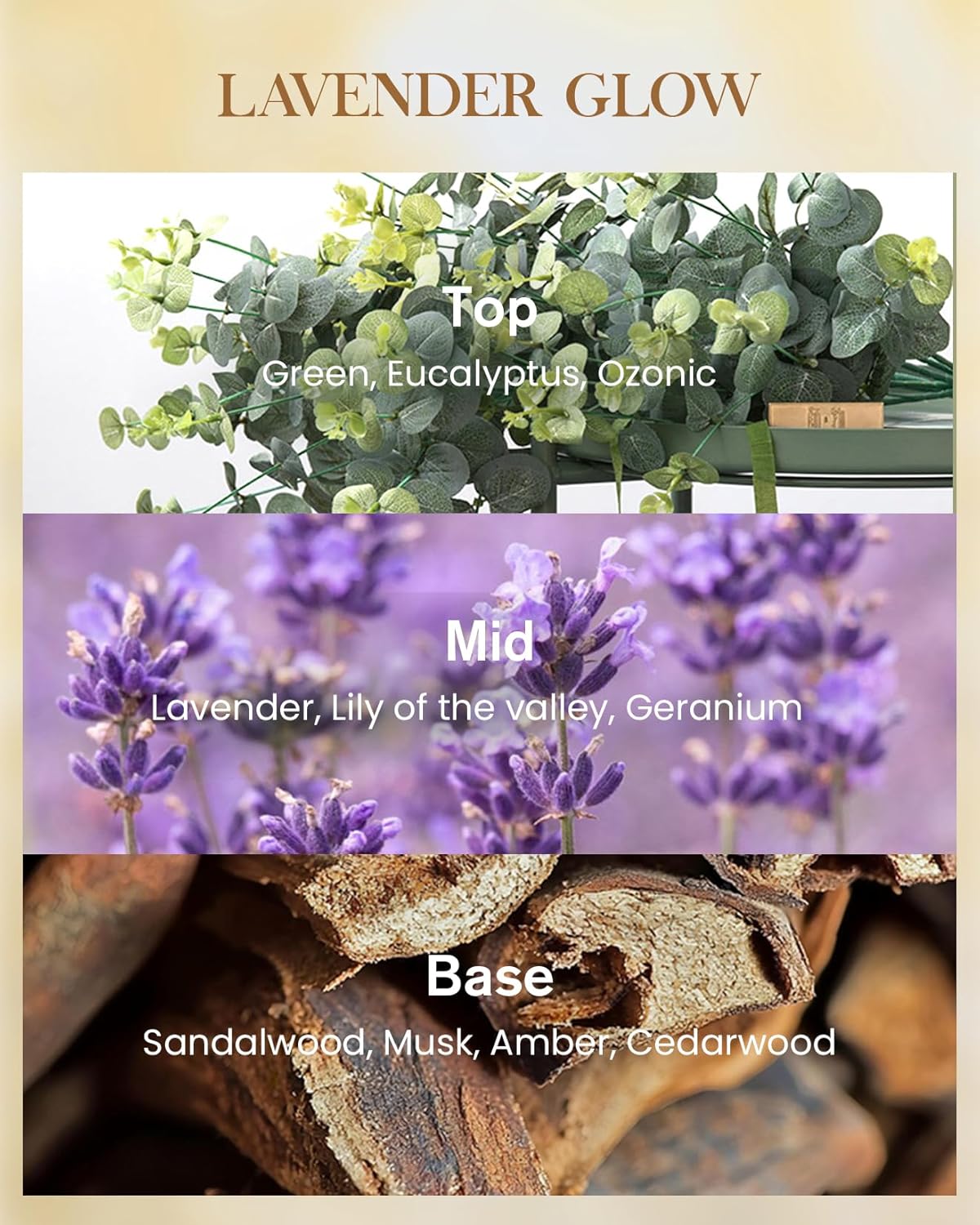 M&SENSE Lavender Glow Scented Natural Soy Wax Candle, 14.1oz 60 Hours Long Lasting Slow Burning Candles for Home Decor, Aromatherapy Candle for Stress Relief