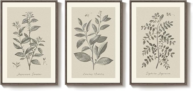 Framed Vintage Botanical Wall Art for Dining Room, 3 Piece Neutral Floral Plants Canvas Painting Prints Artwork, Rustic Flowers Pictures for Farmhouse Living Room Bedroom Kitchen Home Decor, 16x24 In