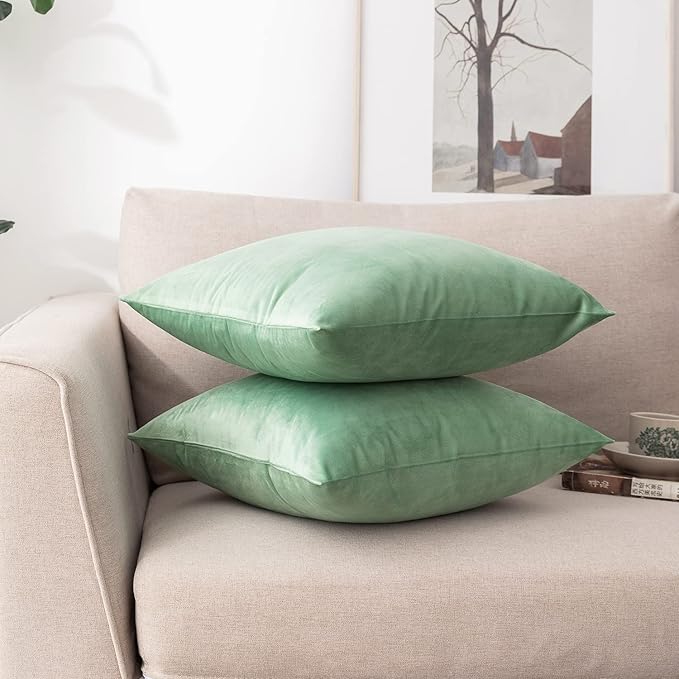 NiNi ALL Decorative Throw Pillow Covers Pack of 2, Velvet Cushion Case for Couch Bedroom Living Room Outdoor, Pillow Covers 16x16 Inch（40 x 40 cm） Sage Green