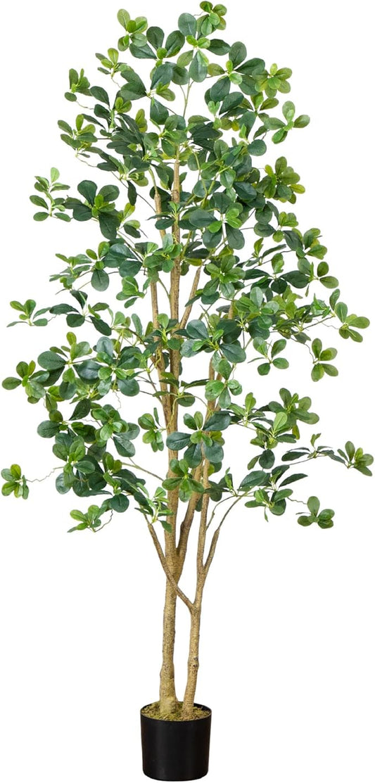 Nearly Natural 6-FT Artificial Black Olive Tree for Home or Office, Faux Olive Tree with Lifelike Foliage and Black Nursery Pot for Indoor Home Décor