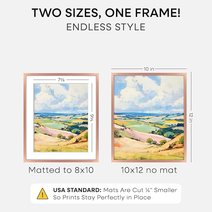 Homeforia 10x12 Picture Frame Rose Gold, High End Metal 10x12 Wall Hanging Frame with Mat 8x10, 10 x 12 Poster Frame Matted to 8 x 10 inch Photo, 10by12 Thin Frames, Tempered Glass, Wall Kit, Set of 1