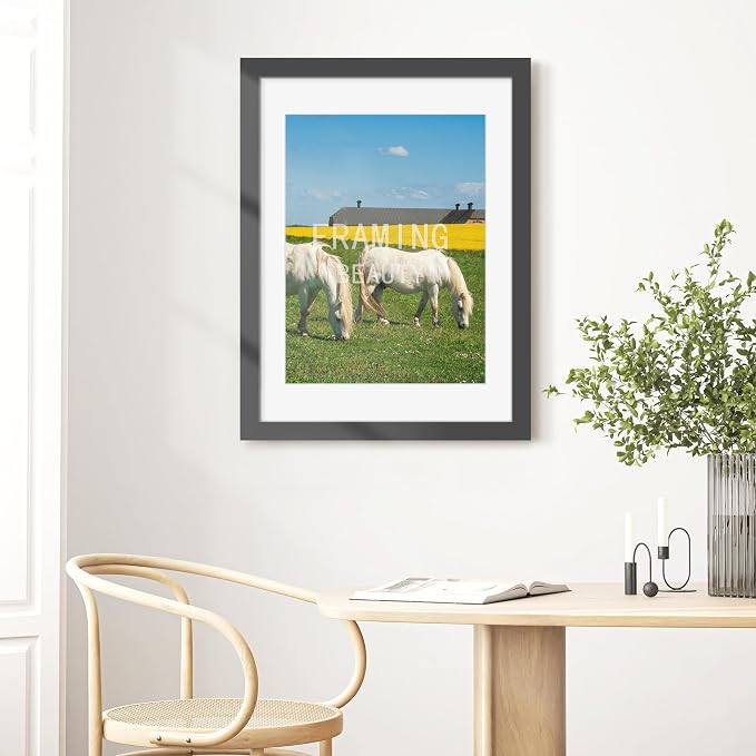 Picrit 22x30 Picture Frame 3 Pack, Black Poster Frame, Display Poster 18 x 24 with Mat or 22 x 30 without Mat for Horizontal or Vertical Wall Mounting