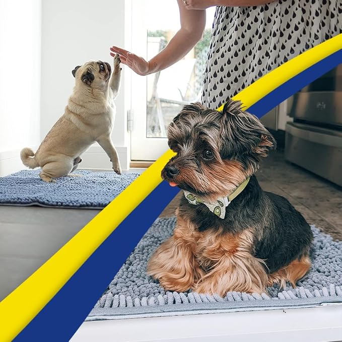 Muddy Mat® | Super Water Absorbent Door Mat Indoor, Microfiber Quick Dry Chenille Entryway Rug, Slip Resistant Front Door Mat, Indoor Mats for Entryway, Machine Washable Pet Rug, Baby Blue 36" x 46"