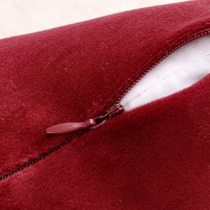 NiNi ALL Decorative Throw Pillow Covers Pack of 2, Velvet Throw Pillow Cases for Couch Pillows Cover Bedroom Living Room Outdoor, Pillow Covers 24x24 Inch Burgundy Red