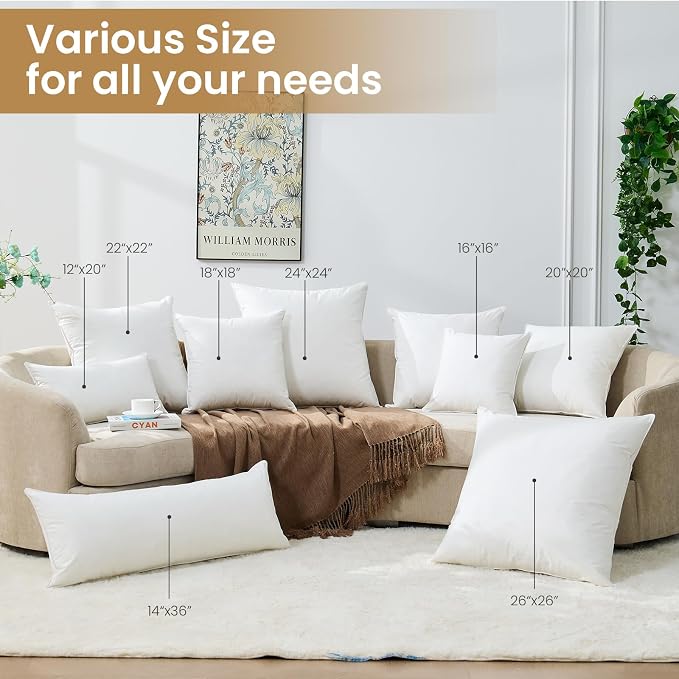 BHZ Euro Throw Pillow Inserts, 26x26 Down Feather Alternative Pillow Inserts Set of 2, Decorative Soft Large Square White Throw Pillows Insert for Couch Bed Dorm Sofa with Breathable Cover