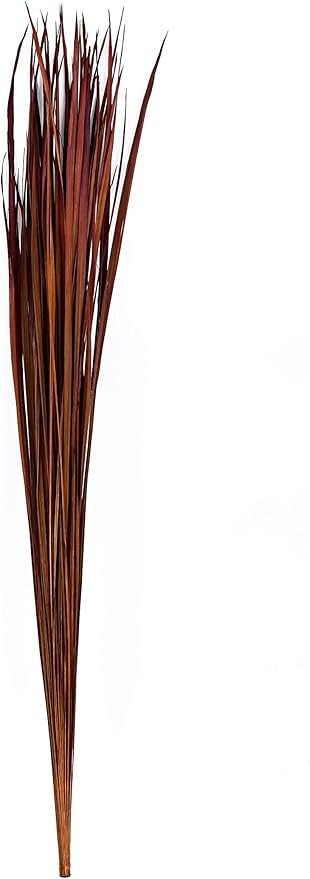 Leewadee Tall Vase Filler, Natural Grass Stems – 2 Bunches of Colored Branches for Vases, Carefully Dried Twigs for Home and Bar Decoration, 45 inches, Bordeaux