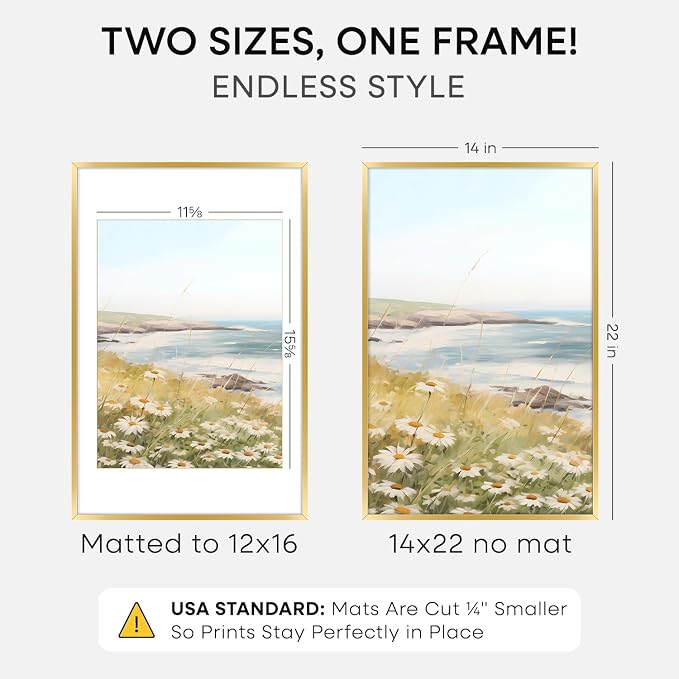 Homeforia 14x22 Picture Frame Gold, High End Metal 14x22 Poster Frames with Mat 12x16 Photo, 14 x 22 Gold Frames Matted to 12 by 16 Print, 22x14 Thin Hanging Frames, Tempered Glass, Wall Kit, Set of 2