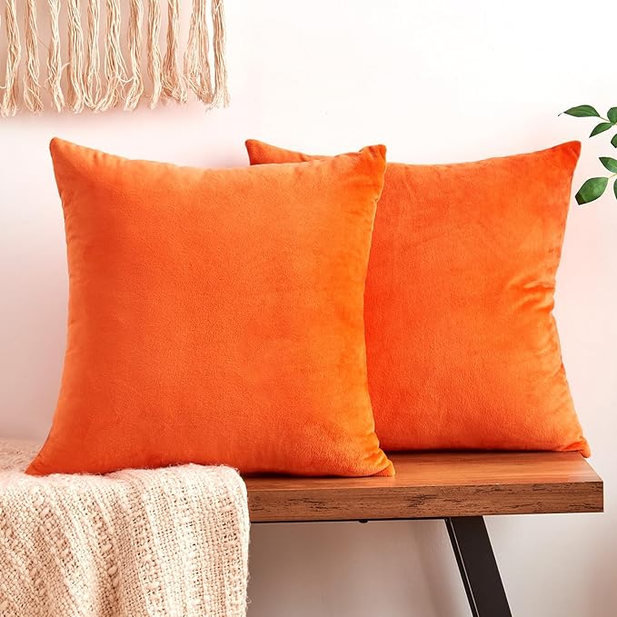 Fall Orange Throw Pillow Covers Decorative Velvet Set of 2 24x24 Inch Pillow Covers, Soft Burnt Orange Pillowcases for Couch Sofa Bed Living Room, Farmhouse Boho Decor, Accent Cushion Covers