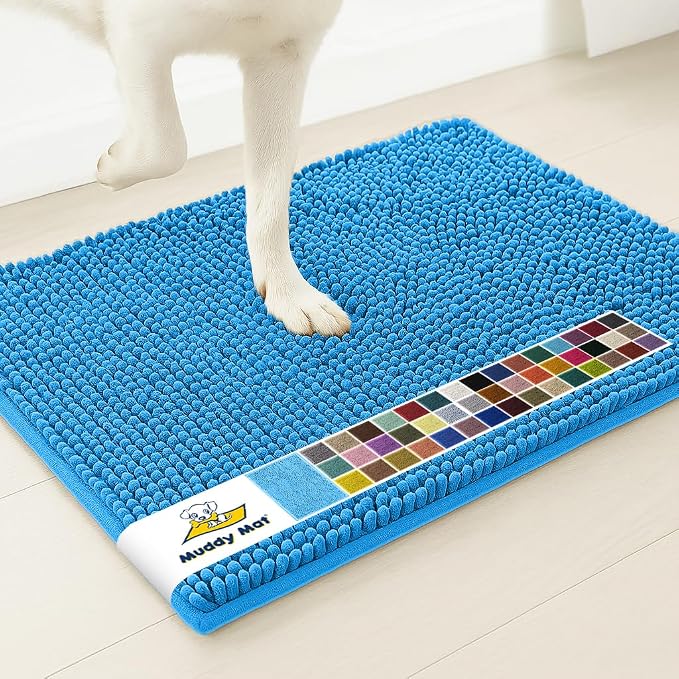 Muddy Mat® | Super Water Absorbent Door Mat Indoor, Microfiber Quick Dry Chenille Entryway Rug, Slip Resistant Front Door Mat, Indoor Mats for Entryway, Machine Washable Pet Rug, Sky Blue 20" x 48"