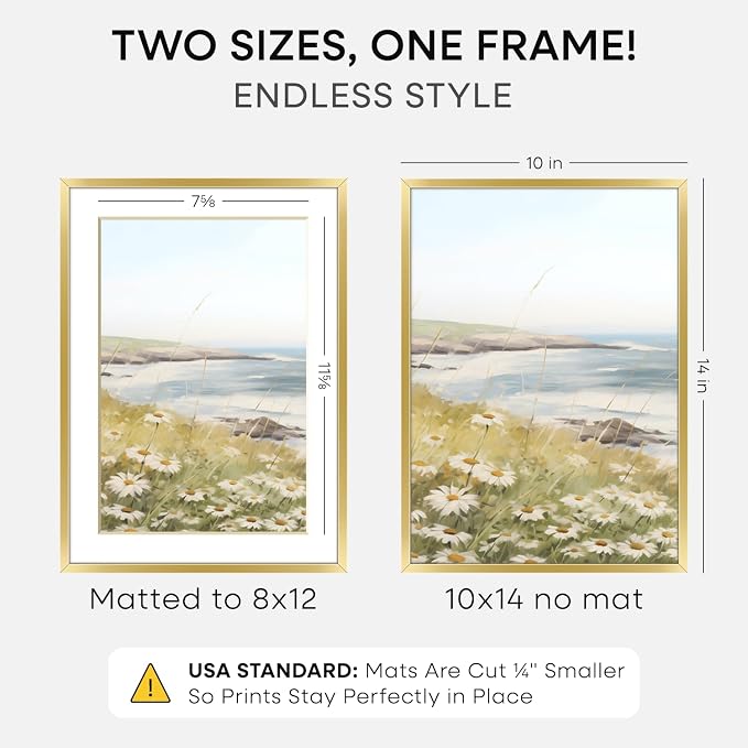 Homeforia 10x14 Picture Frame Gold, High End Metal 10x14 Poster Frames with Mat for 8x12, 10 x 14 Gold Frame Matted to 8 x 12 inch Photo, 10by14 Thin Hanging Frames, Tempered Glass, Wall Kit, Set of 1
