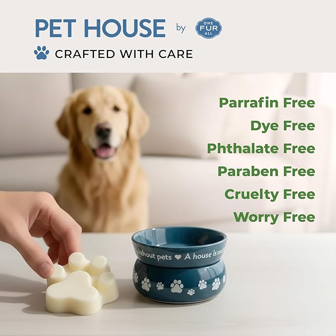 Pet House Fresh Citrus Wax Melts - Long-Lasting Scented Wax Melts Plant Based, Pet Friendly Pack of 4