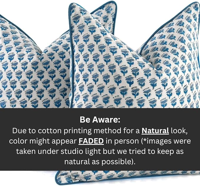 CPC 100% Cotton Throw Pillow Covers 20x20 Inch, Set of 2 Blue Block Print Pattern Couch Pillow, Cute Boho Decorative Pillows for Living Room, Bedroom with Hidden Zipper- Apatite Blue