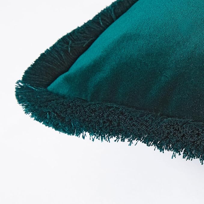 JUSPURBET Peacock Blue Velvet Throw Pillow Covers 24x24 Inch Set of 2 with Soft Tassel Fringe Luxury Boho Pillowcase for Sofa Couch Bed Home Decor Machine Washable