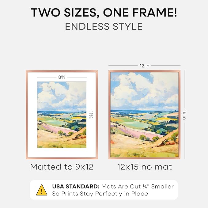 Homeforia 12x15 Rose Gold Picture Frame, High End Metal 12x15 Poster Frames with Mat 9x12 Photo, 12 x 15 Rose Gold Frames Matted to 9 by 12 Print, 15x12 Thin Frames, Tempered Glass, Wall Kit, Set of 1