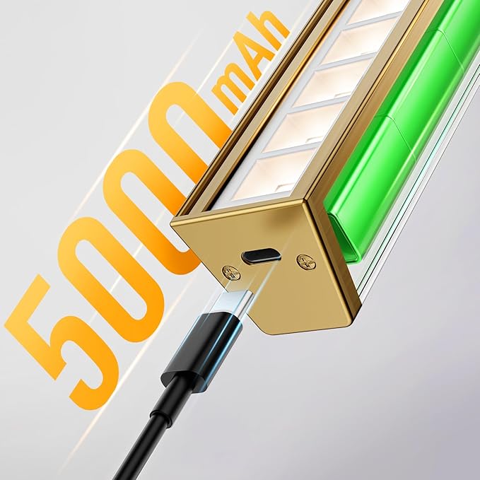 Afyuol Picture Lights for Wall, Brass Battery Operated Picture Light 16in Art Light CCT Dimmable Recharging Battery Wall Light with Remote Control for Living Room Gallery