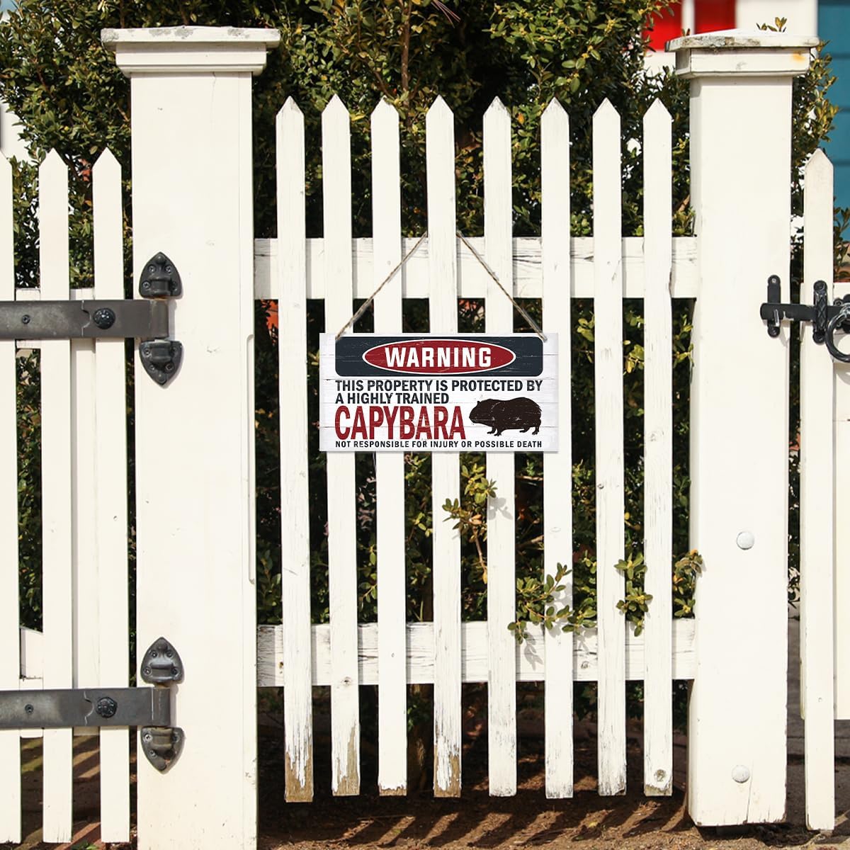 Warning Sign, Capybara Warning Wood Plaque Sign, Funny Door Signs, Decorative Wood Hanging Suspension Plaque, Farmhouse Wooden Wall Decor, Outdoor Hanging Wooden Signs