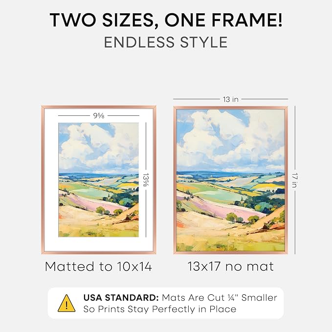Homeforia 13x17 Picture Frame Rose Gold, High End Metal 13x17 Poster Frames with Mat 10x14 Photo, 13 x 17 Rose Gold Frame Matted to 10 by 14 Print, 17x13 Thin Frame, Tempered Glass, Wall Kit, Set of 1