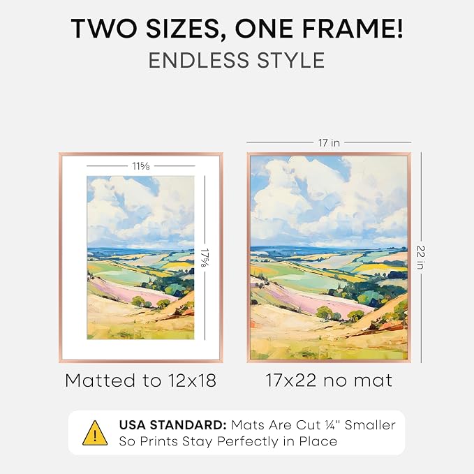 Homeforia 17x22 Picture Frame Rose Gold, High End Metal 17x22 Poster Frames with Mat 12x18 Photo, 17 x 22 Rose Gold Frame Matted to 12 by 18 Print, 22x17 Thin Frame, Tempered Glass, Wall Kit, Set of 1