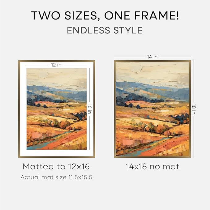 Homeforia 14x18 Picture Frame Bronze, High End Metal 14x18 Brass Poster Frames with Mat 12x16 Photo, 14 x 18 Frame Matted to 12 by 16 inch Print, 18by14 Thin Frames, Tempered Glass, Wall Kit, Set of 1