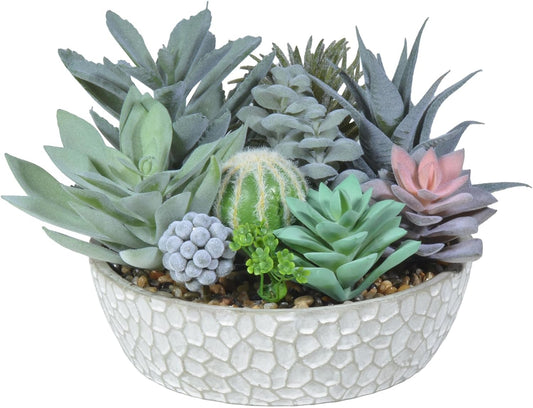 Premium Assorted Artificial Succulent Collection - Large Real Touch Artificial Cactus, Aloe Vera & Succulent Plants Artificial with Pots for Home Office Indoor (Artificial Glass - Pot)