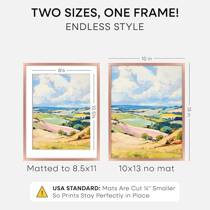 Homeforia 10x13 Picture Frame Rose Gold, High End Metal 10x13 Wall Hanging Frame with Mat 8.5x11, 10 x 13 Poster Frames Matted to 8.5 x 11 inch Photo, 10by13 Frames, Tempered Glass, Wall Kit, Set of 1