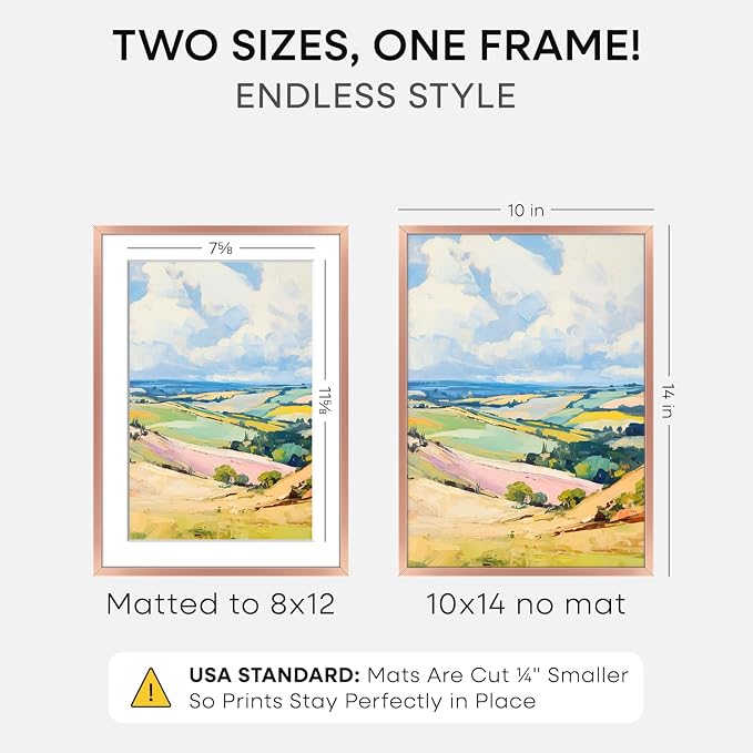 Homeforia 10x14 Picture Frame Rose Gold, High End Metal 10x14 Wall Hanging Frame with Mat 8x12, 10 x 14 Poster Frame Matted to 8 x 12 inch Photo, 10by14 Thin Frames, Tempered Glass, Wall Kit, Set of 1