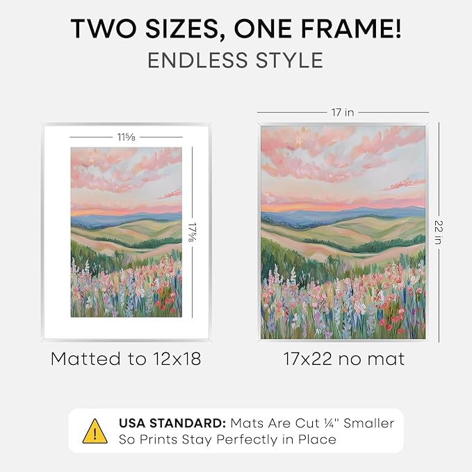 Homeforia 17x22 Picture Frame Silver, High End Metal 17x22 Frames with Mat 12x18 for Photo, 17 x 22 Silver Poster Frame Matted to 12 x 18 Print, 22x17 Hanging Frame, Tempered Glass, Wall Kit, Set of 1