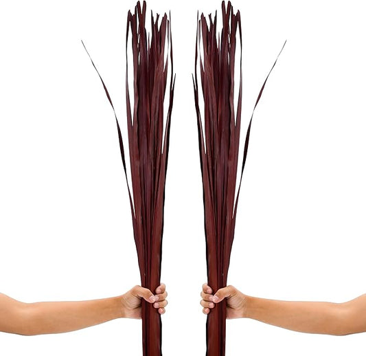 Leewadee Tall Vase Filler , Dried Palm Leaves – 2 Bunches of Colored Decor for Floor Vases, Naturally Dried Arrangements for Vintage Or Modern House Decor, 45 inches, Bordeaux