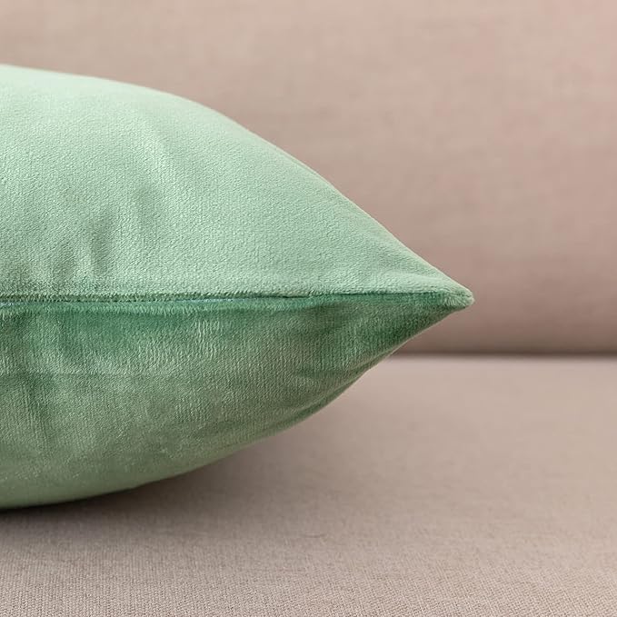 NiNi ALL Decorative Throw Pillow Covers Pack of 2, Velvet Cushion Case for Couch Bedroom Living Room Outdoor, Pillow Covers 16x16 Inch（40 x 40 cm） Sage Green