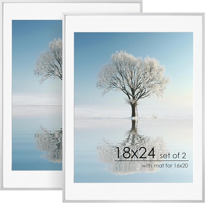 FLYJOE 18x24 Metal Picture Frame For Wall With Mat For 16x20, 18''x24'' Aluminum Photo Frames With Tempered Glass, Minimalist Modern Poster Frame Horizontally Vertically Set of 2, Silver