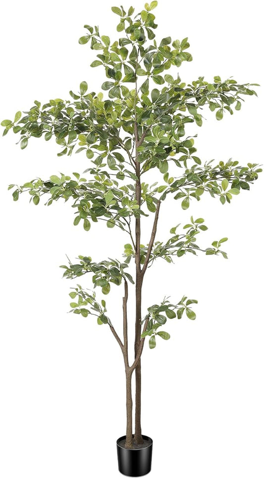 Black Olive Tree 6ft, Artificial Shady Lady Tree with Natural Trunk and Realistic Leaves, 6 Feet Faux Olive Plants for Home Office Indoor Decor Pack of 1