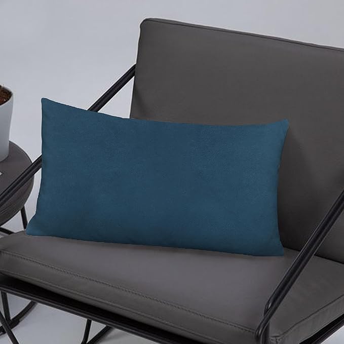 A1HC Set of 2 Luxurious Fine Soft Velvet Throw Pillow Covers Only, for Sofas, Beds, Vibrant Colors and Hidden Zipper. Enhance Your Living Space with Decorative Couch Pillow 12"x20", Teal