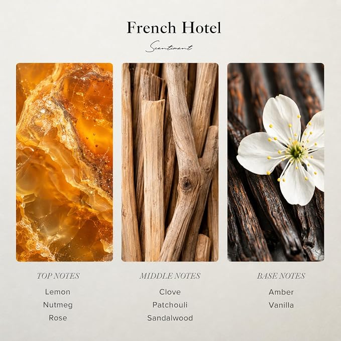 Scentiment French Hotel Diffuser Oil - Premium Hotel Scent with Notes of Clove, Patchouli & Sandalwood Home Scent, Aromatherapy Fragrance Oil Diffuser Refill - 0.68 fl oz (20 mL)