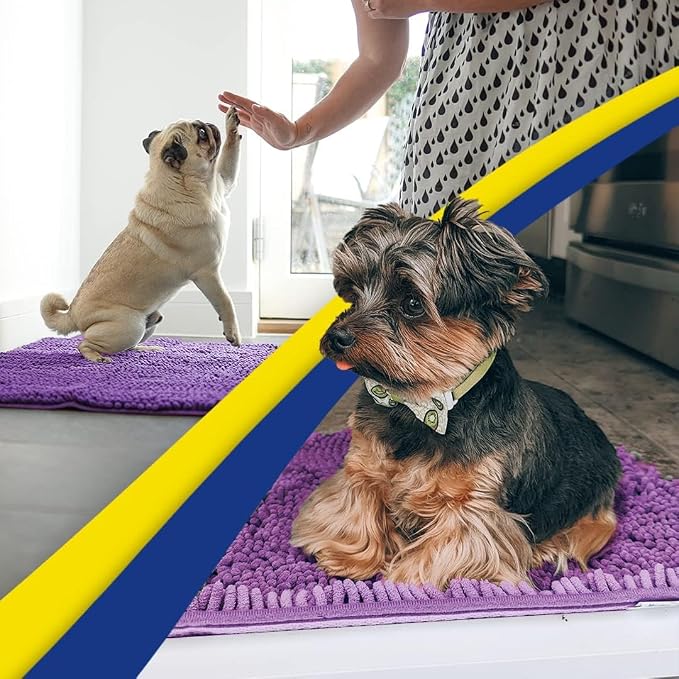 Muddy Mat® | Super Water Absorbent Door Mat Indoor, Microfiber Quick Dry Chenille Entryway Rug, Slip Resistant Front Door Mat, Indoor Mats for Entryway, Machine Washable Pet Rug, Purple 24"x60"