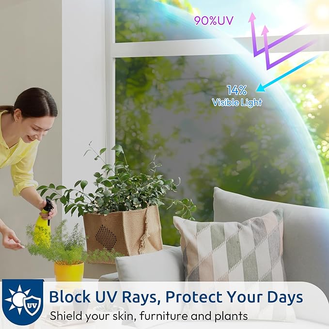 rabbitgoo Window Privacy Film One Way Window Tint for Home, Removable Reflective Heat Sun Blocking Anti UV Glass Door Covering, Mirror Tinting Film House Office, 29.5 in X 16.4 Feet, Black Silver