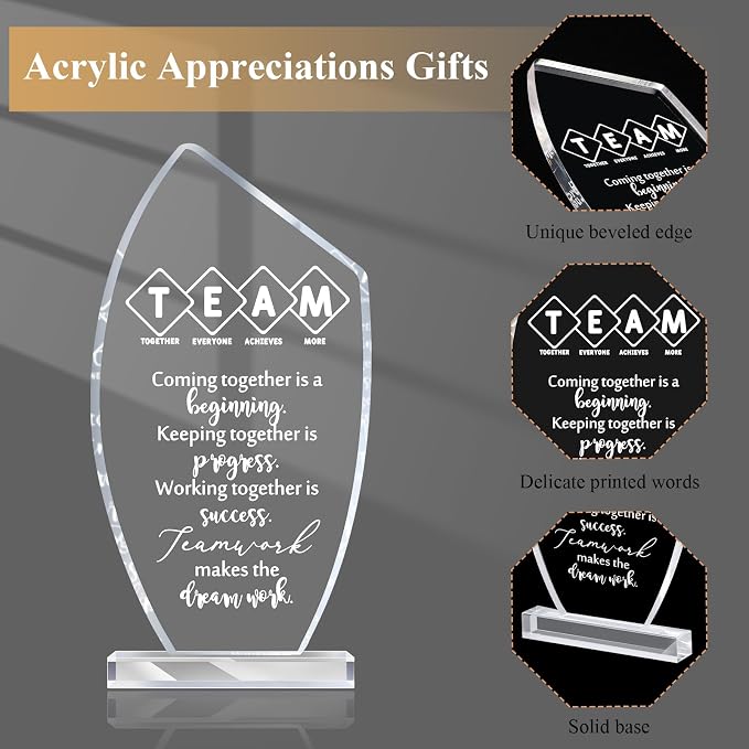 10 Pcs Employee Appreciation Gift Awards for Coworker Acrylic Social Worker Trophy May You Be Proud of The Work You Do Sign Prizes Gift for Volunteer Teacher Nurse Secretary Admin Assistant(Team)