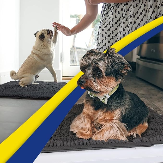 Muddy Mat® | Super Water Absorbent Door Mat Indoor, Microfiber Quick Dry Chenille Entryway Rug, Slip Resistant Front Door Mat, Indoor Mats for Entryway, Machine Washable Pet Rug, Charcoal 20" x 33"