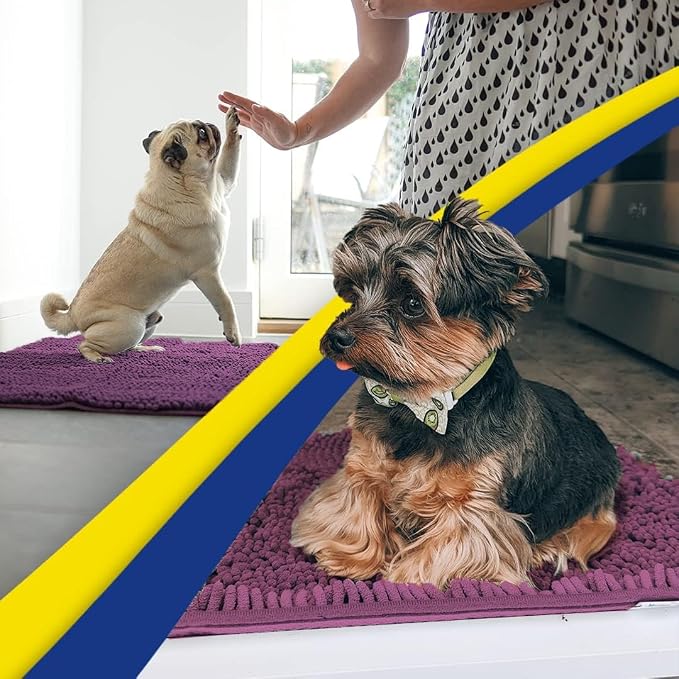 Muddy Mat® | Super Water Absorbent Door Mat Indoor, Microfiber Quick Dry Chenille Entryway Rug,Slip Resistant Front Door Mat,Indoor Mats for Entryway,Machine Washable Pet Rug, Dark Purple 3ft x 4ft