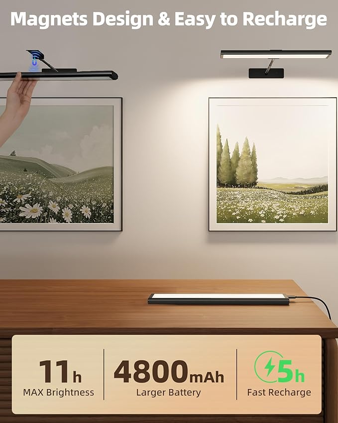 EZVALO Picture Light for Wall, 13'' Black Rechargeable 4800mAh Battery Lights Wireless Remote, Dimmable Magnetic LED Art Painting Light with 3 Color Temperatures, Display for Gallery, Living Room(2P)
