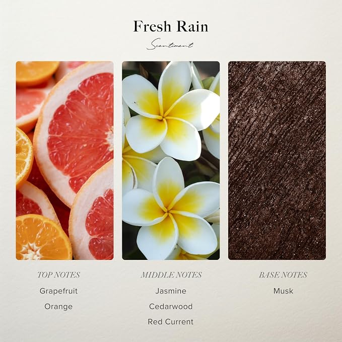 Scentiment Fresh Rain Diffuser Oil - Premium Hotel Scent with Notes of Jasmine, Grapefruit and Red Currant Home Scent, Hotel Fragrance Oil Diffuser Refill - 4.06 fl oz (120 mL)