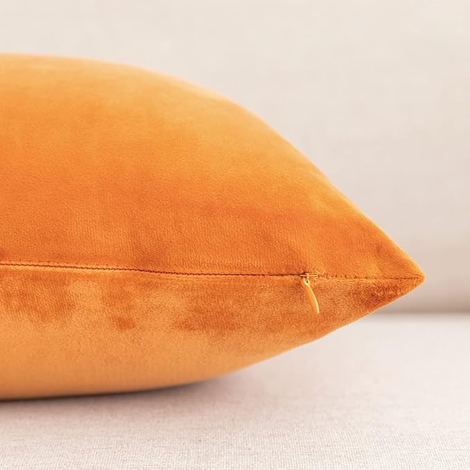 NiNi ALL Decorative Throw Pillow Covers Pack of 2, Halloween Velvet Cushion Case for Couch Bedroom Living Room Outdoor, Pillow Covers 12x20 Inch（30 x 50 cm） Orange