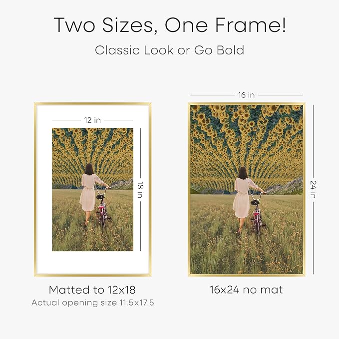 Homeforia 16 x 24 Picture Frame Gold, High End Metal 16x24 Poster Frames with Mat 12x18 Photo, 16 x 24 Gold Frame Matted to 12 by 18 Print, 24x16 Thin Hanging Frame, Tempered Glass, Wall Kit, Set of 3